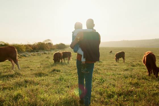 Foto:  Mädchen und Vater spazieren über ein Feld