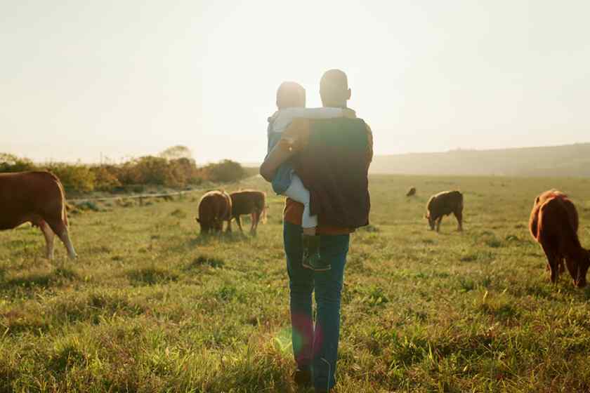Foto:  Mädchen und Vater spazieren über ein Feld