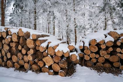 Foto: Holzstapel im Schnee